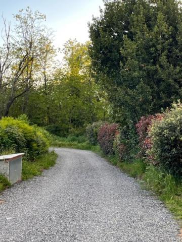 Appartamento Il Picchio Verde Altopascio Exterior foto