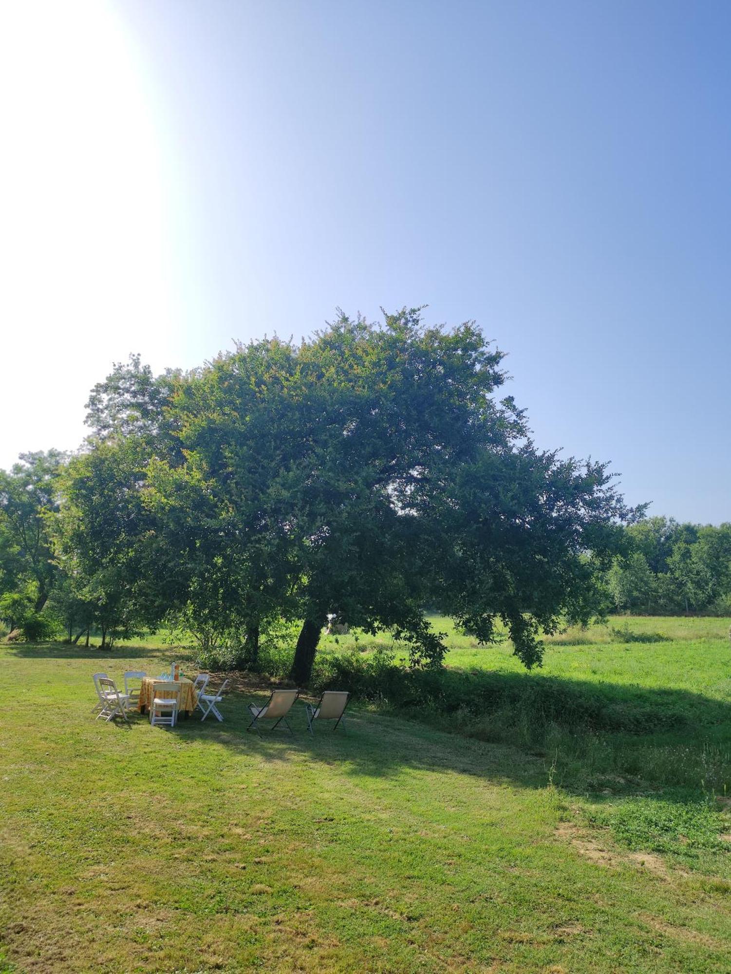 Appartamento Il Picchio Verde Altopascio Exterior foto